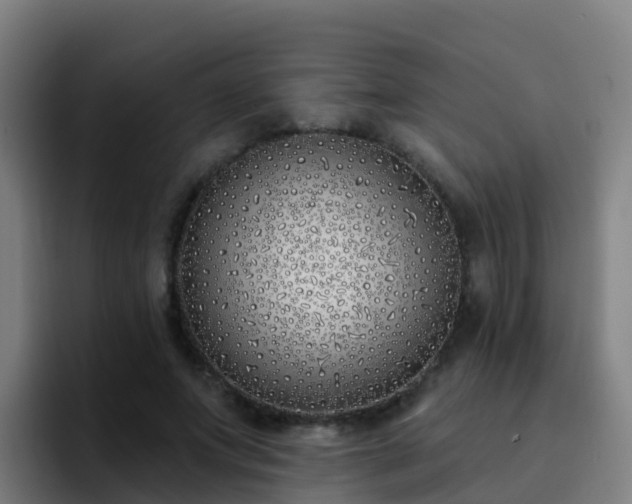 X0000094920687200712061109