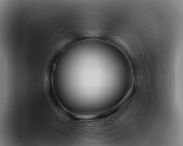 X0000094920688200712061109