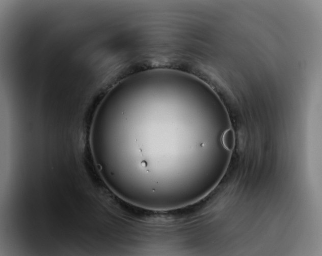 X0000094920691200712061109