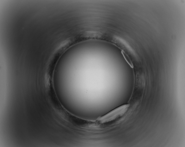 X0000094920692200712061109