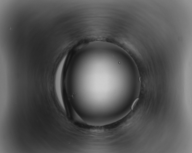 X0000094920693200712061109