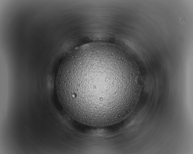 X0000094920695200712061109