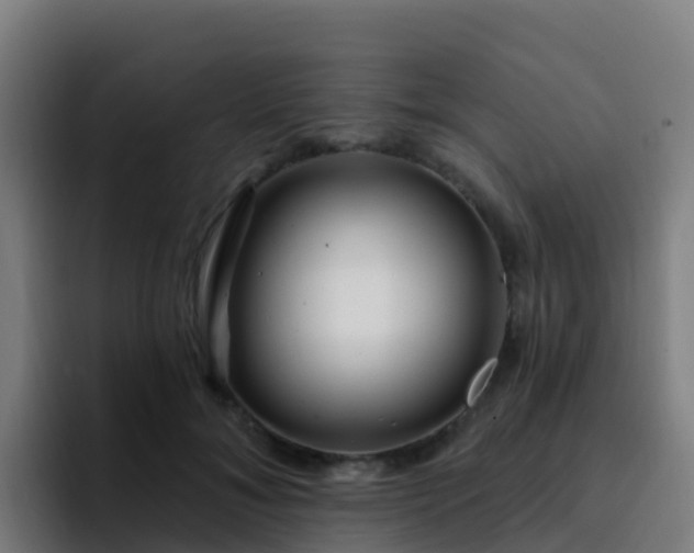 X0000094920700200712061109