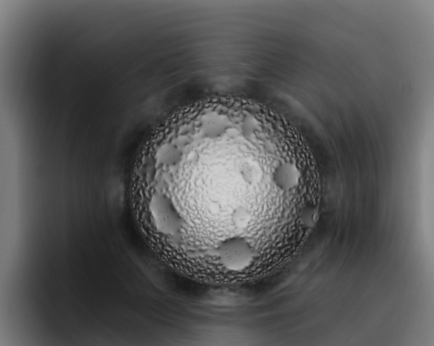 X0000094920703200712061109