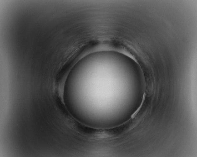 X0000094920704200712061109