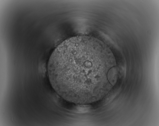X0000094920707200712061109