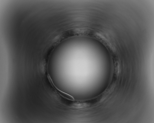 X0000094920712200712061109