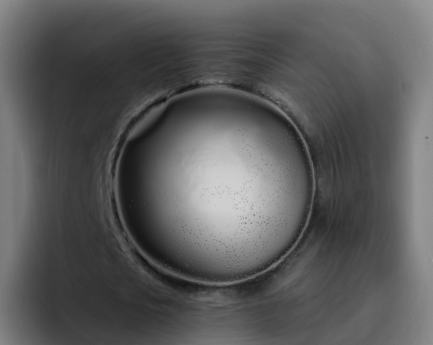 X0000094920721200712061108