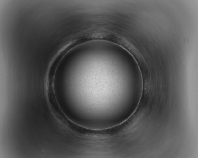 X0000094920722200712061108