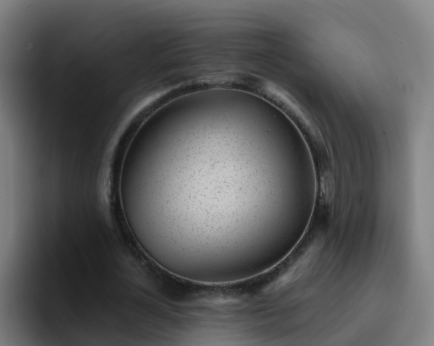 X0000094920724200712061108