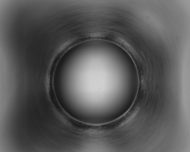 X0000094920725200712061108