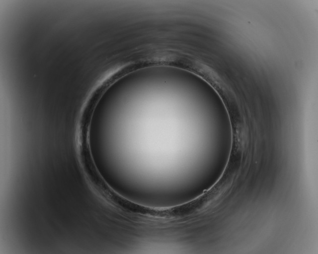 X0000094920726200712061108