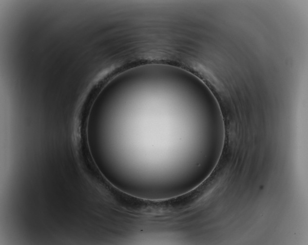 X0000094920727200712061108