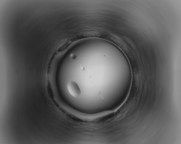 X0000094920729200712061108