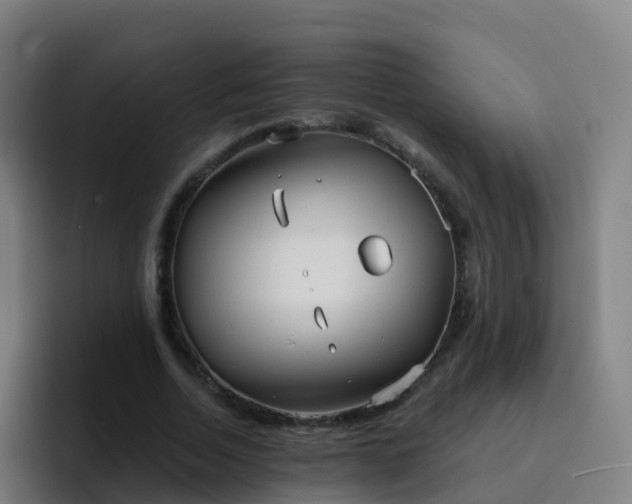 X0000094920730200712061108