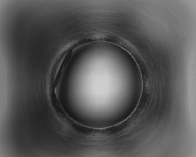 X0000094920732200712061108