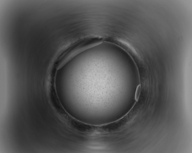 X0000094920736200712061108