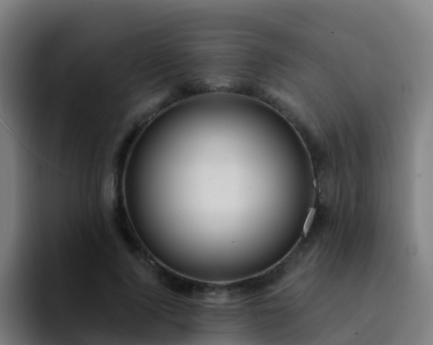 X0000094920740200712061108