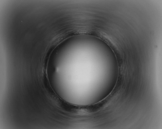 X0000094920741200712061108