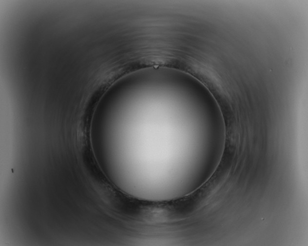 X0000094920743200712061108