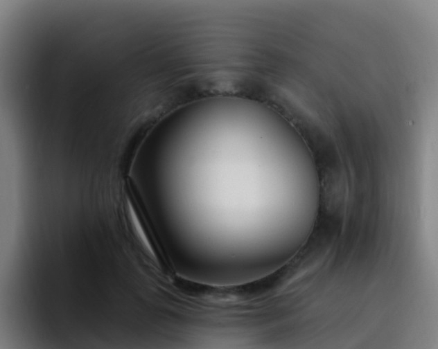 X0000094920747200712061108