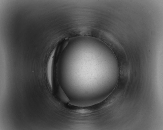 X0000094920748200712061108