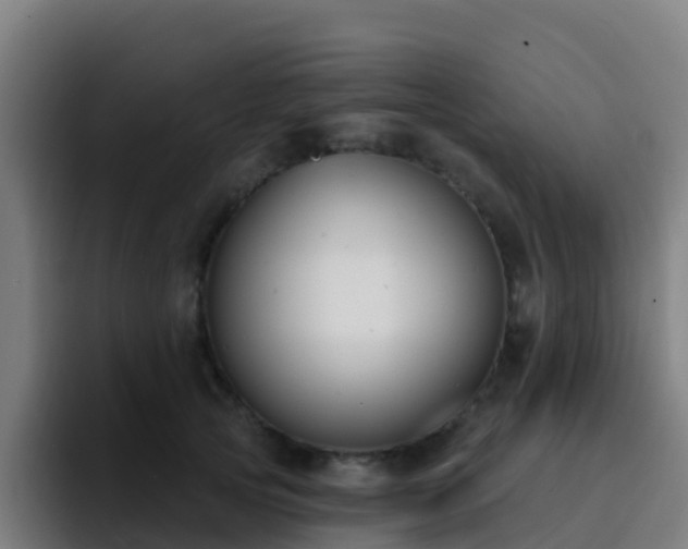 X0000094920753200712061109