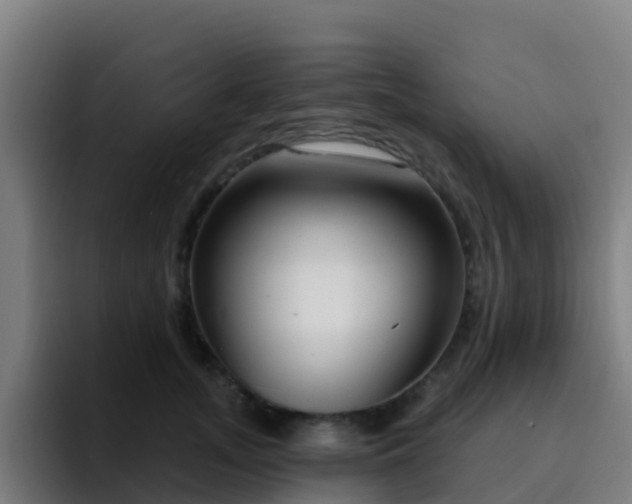 X0000094920755200712061109