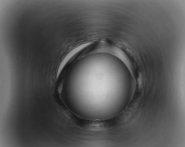 X0000094920760200712061109