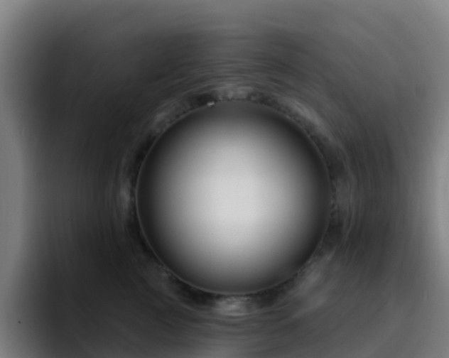 X0000094920761200712061109