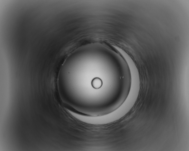 X0000094920762200712061109