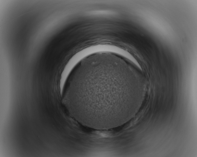 X0000094920763200712061109