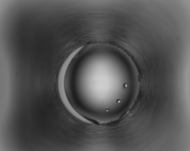 X0000094920764200712061109