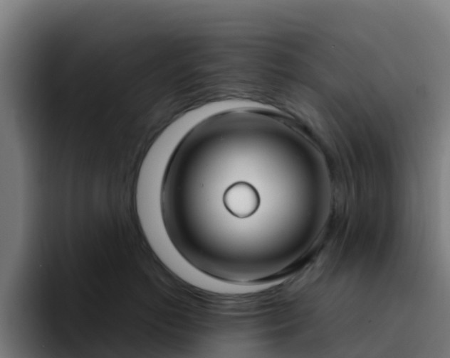 X0000094920766200712061109