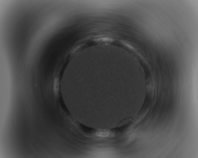 X0000094920767200712061109