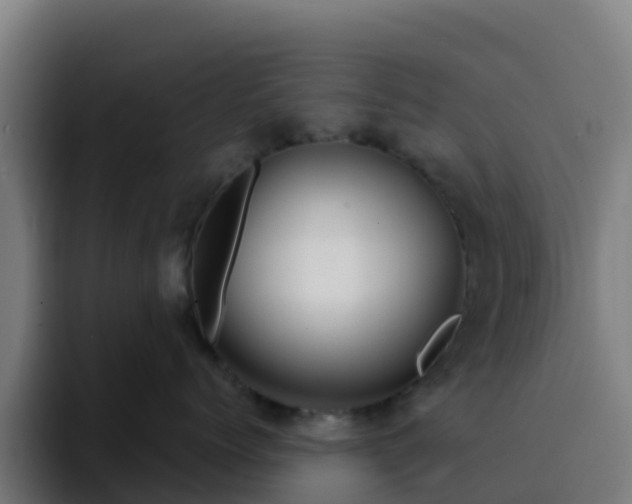 X0000094920768200712061109