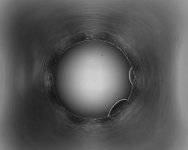 X0000094920770200712061108