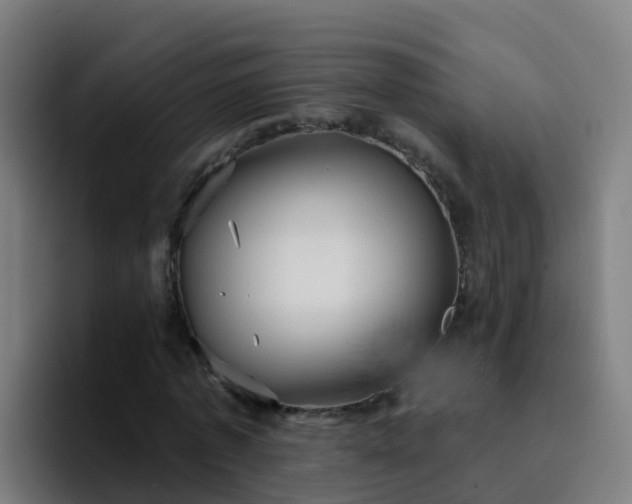 X0000094920773200712061108