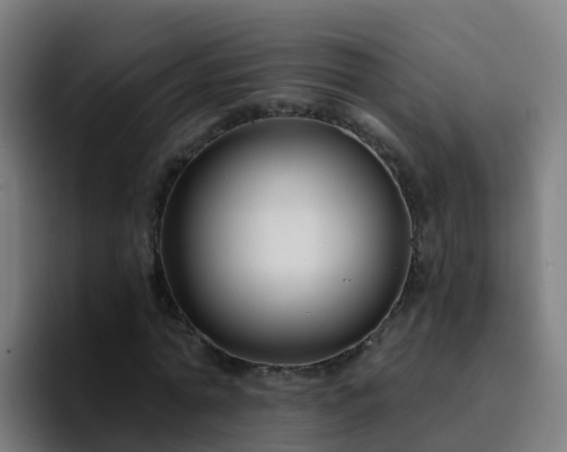 X0000094920774200712061108