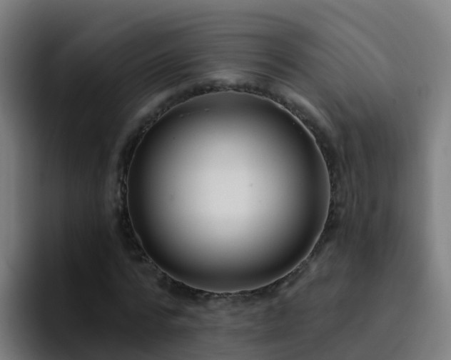 X0000094920776200712061108