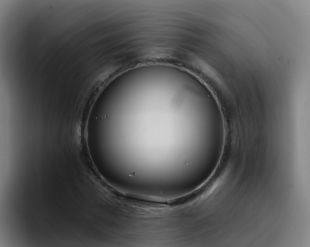 X0000094920777200712061108