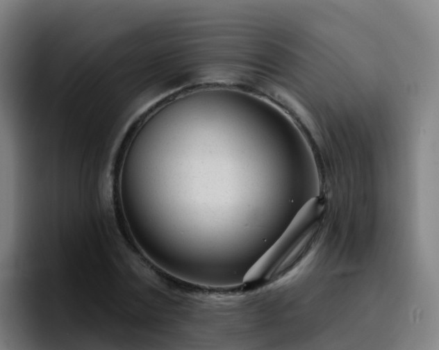 X0000094920779200712061108