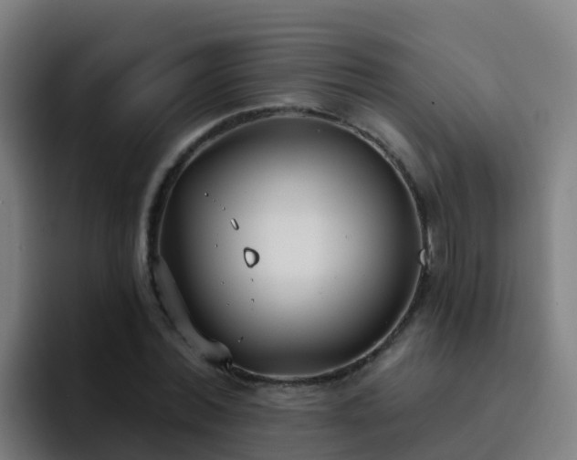 X0000094920780200712061108