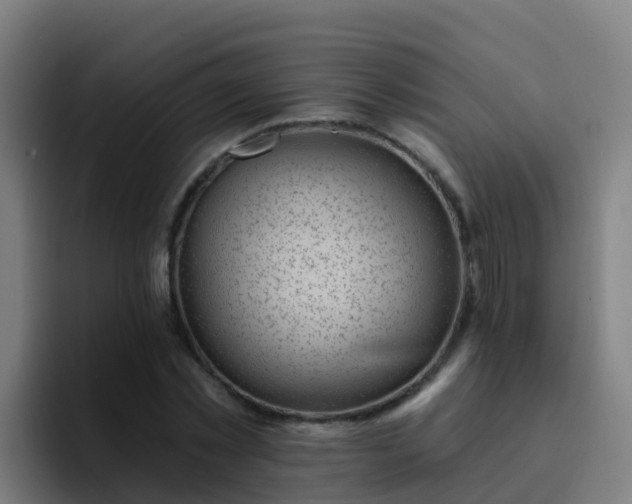 X0000094920781200712061108