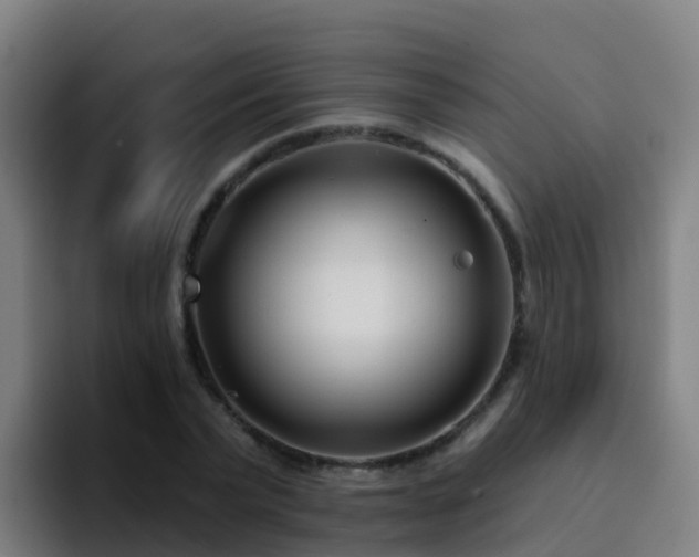 X0000094920783200712061108