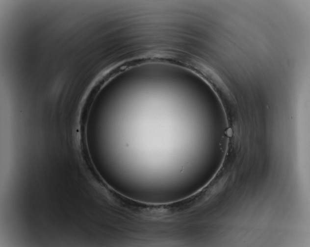 X0000094920784200712061108