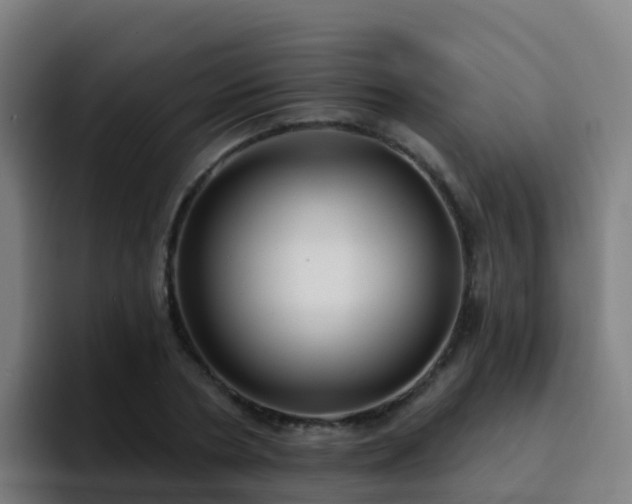 X0000094920786200712061108