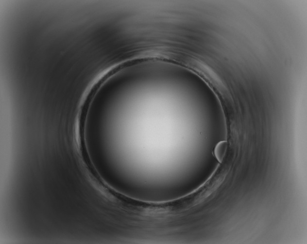 X0000094920788200712061108