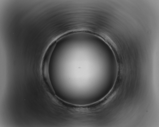 X0000094920789200712061108