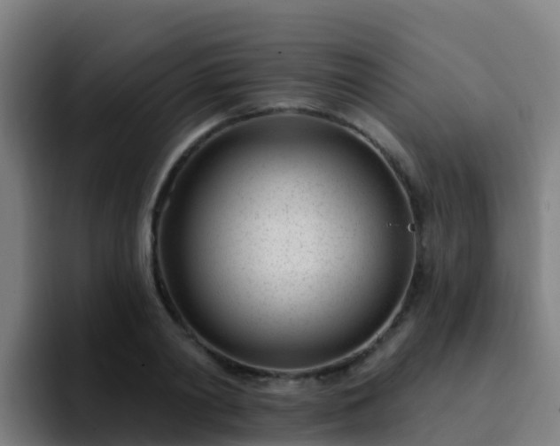 X0000094920790200712061108